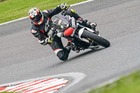 Advanced Group White Bikes